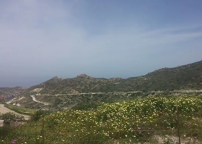 Andreas And Petrinela Triovasalos